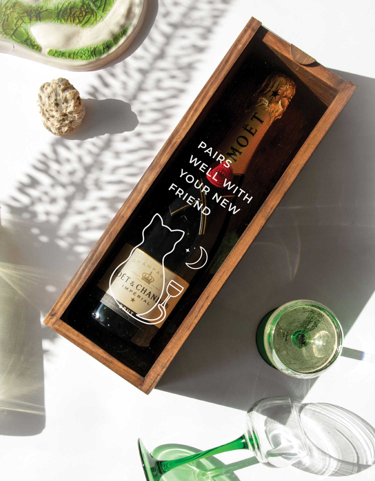 PAIRS WELL WITH YOUR NEW FRIEND CAT